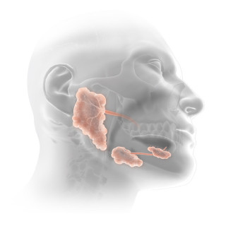 copy of copy of copy of copy of copy of copy of copy of copy of copy of copy of copy of copy of copy of copy of copy of copy of